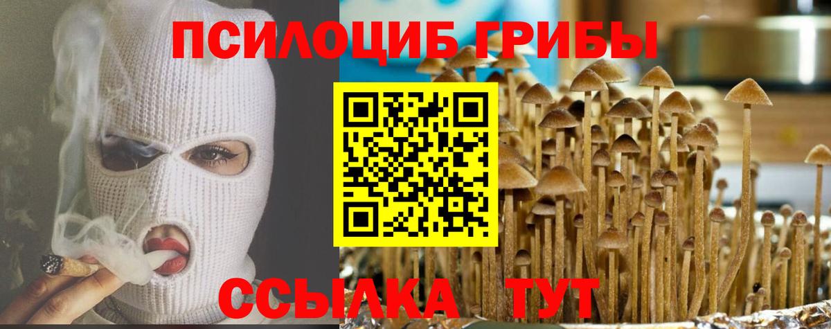 Псилоцибиновые грибы мицелий Лянтор